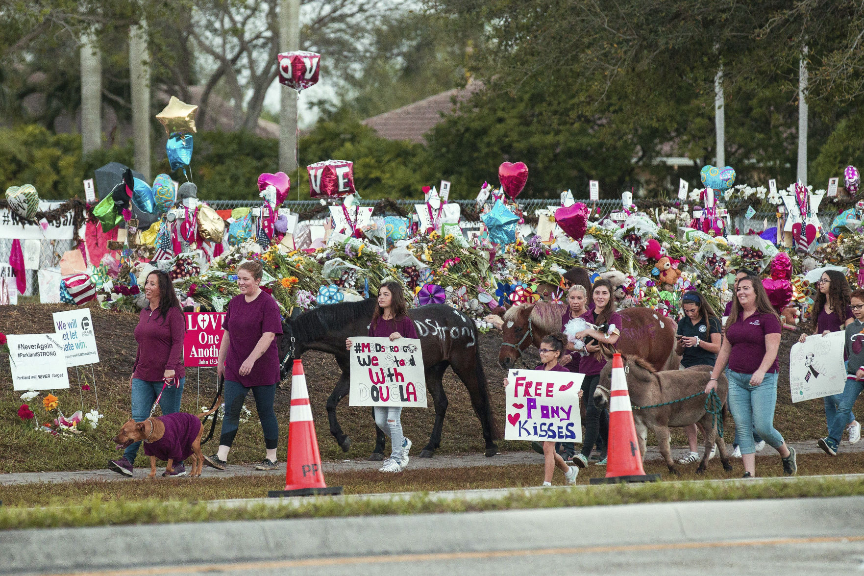 School Shooting Florida